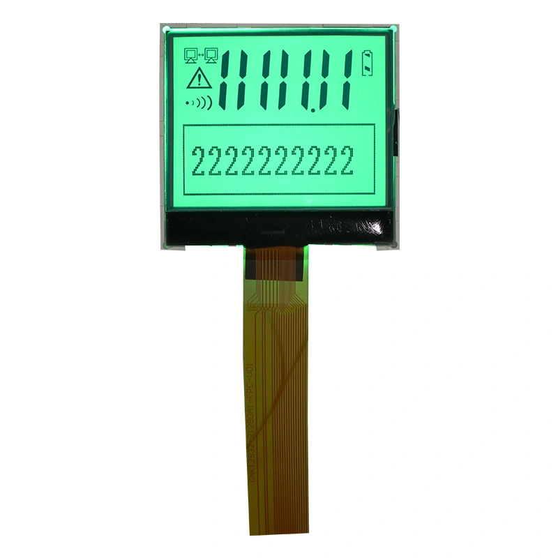 Graphic and Segment LCD Display Module LCM